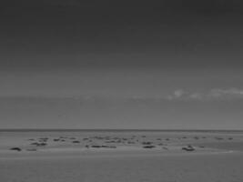 el isla de borkum en el alemán norte mar foto