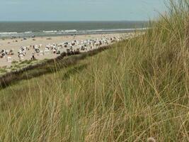 beach at the north sea photo