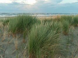 Spiekeroog island in germany photo