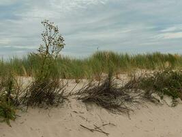 Spiekeroog island in germany photo