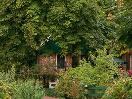 Spiekeroog island in germany photo