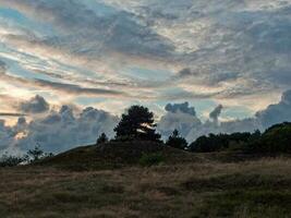 Spiekeroog island in germany photo