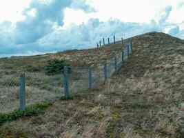 Spiekeroog island in germany photo