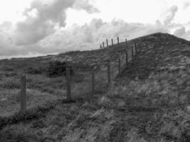 the german island Spiekeroog photo