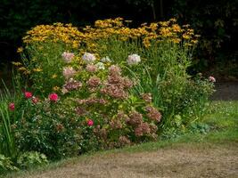 the island Spiekeroog in germany photo