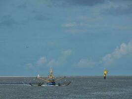 Spiekeroog in the german north sea photo