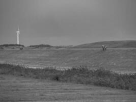 summer time at spiekeroog island photo