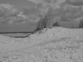 summer time at spiekeroog island photo