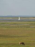 spiekeroog island in germany photo