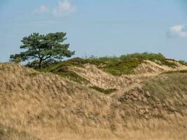 the island of Spiekeroog photo