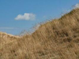 the island of Spiekeroog photo