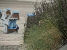 summer time on spiekeroog island photo