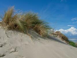 the Island of Spiekeroog photo