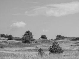 the german island of Spiekeroog photo