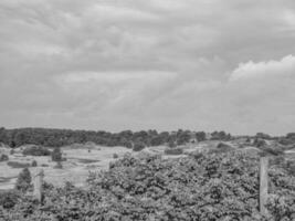 the german island of Spiekeroog photo