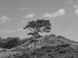 Spiekeroog island in germany photo