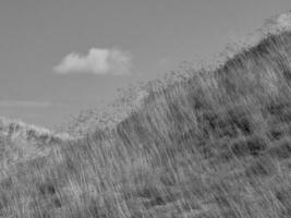 Spiekeroog island in germany photo