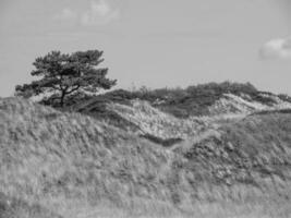 Spiekeroog island in germany photo