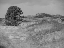 el alemán isla de spiekeroog foto