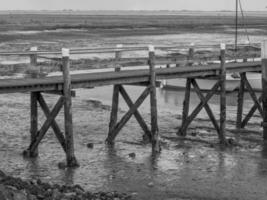 Spiekeroog island in germany photo