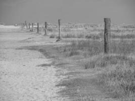 Spiekeroog island in germany photo