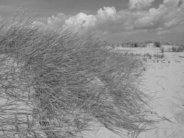 Spiekeroog island in germany photo