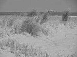 Spiekeroog island in germany photo