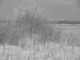 Spiekeroog island in germany photo