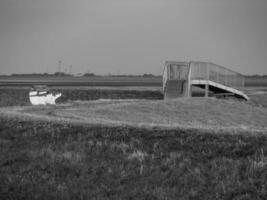 the island of Spiekeroog in germany photo