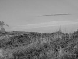 the island of Spiekeroog in germany photo