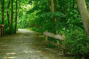 the village of Weseke in germany photo