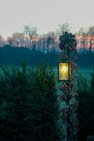 CANDLES IN THE GARDEN photo