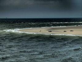 borkum isla en el norte mar foto
