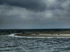 borkum isla en el norte mar foto