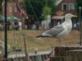 carolinensiel in germany photo