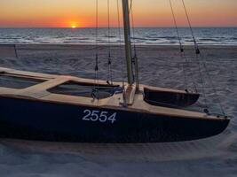 Delaware haan a el norte mar en Bélgica foto