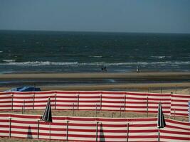 Delaware haan a el norte mar en Bélgica foto