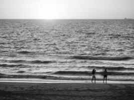 De Haan at the north sea in Belgium photo