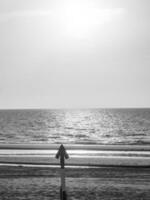 el ciudad de Ostende y el Belga costa foto