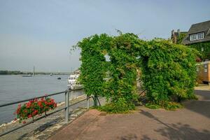 Ress city at the rhine river photo