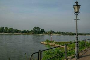 reses ciudad a el rin río foto