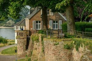 rees at the rhine river photo