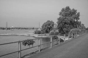 rees at the rhine river photo