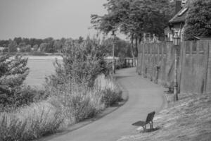 rees at the rhine river photo