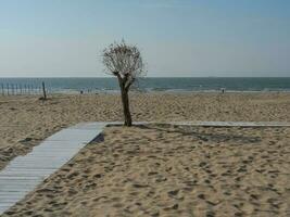 Delaware haan ciudad en Bélgica foto