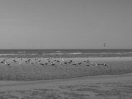 the beach of De Haan at the north sea photo
