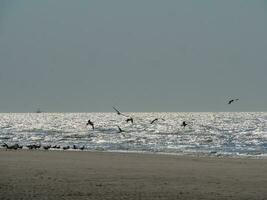 the beach of De Haan at the north sea photo