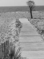 the beach of De Haan in Belgium photo