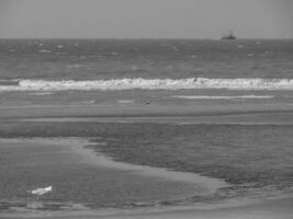 the beach of De Haan in Belgium photo