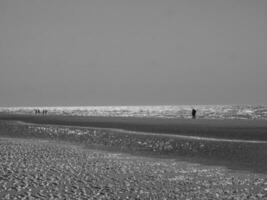 the beach of De Haan in Belgium photo